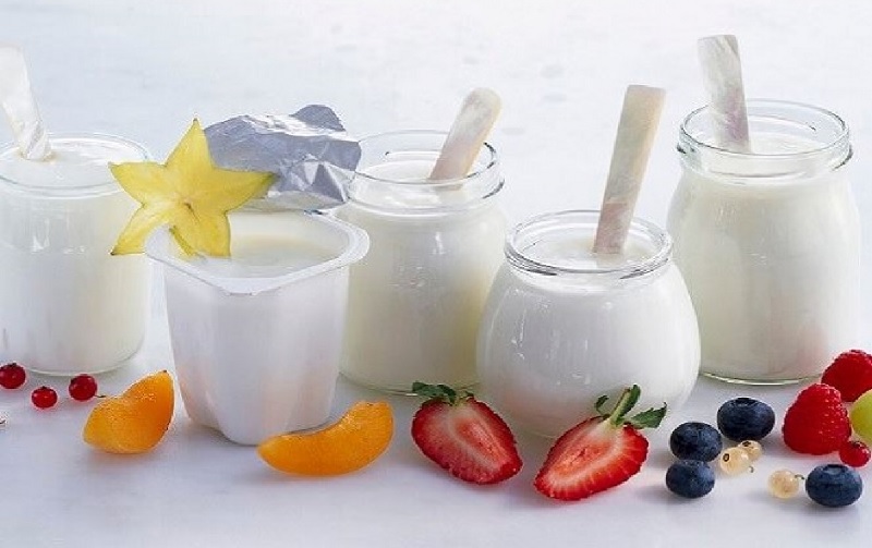 Sữa chua - đồ uống bổ sung cần thiết cho gymer