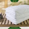 Khăn tắm khách sạn màu trắng 70x140cm