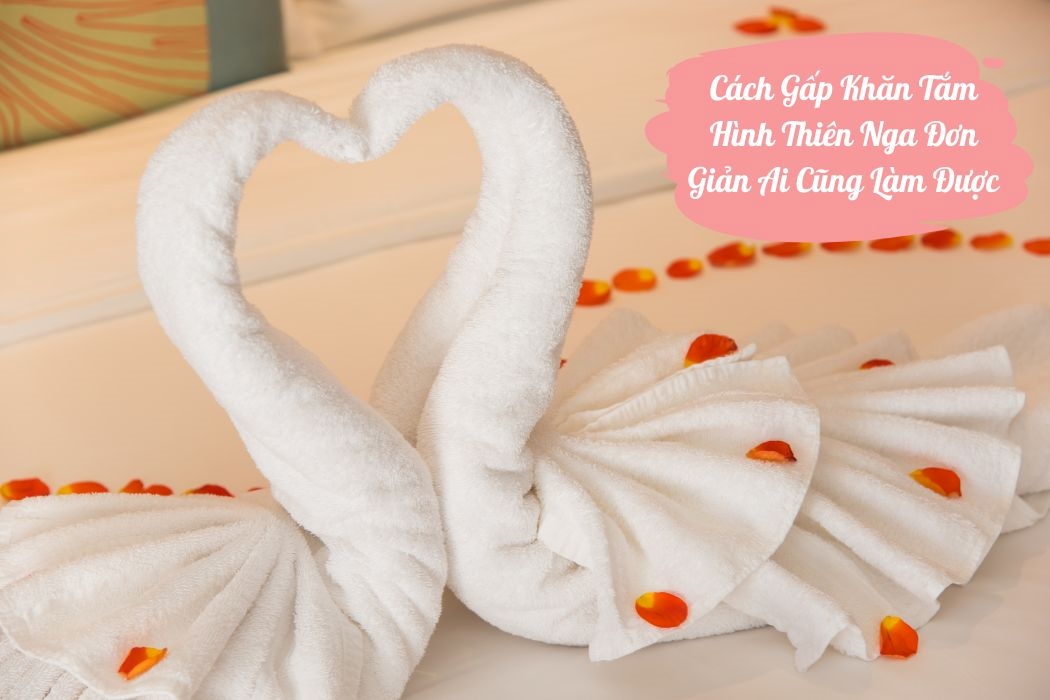 Cách gấp khăn thiên nga đơn giản Cách gấp khăn thiên nga đơn giản