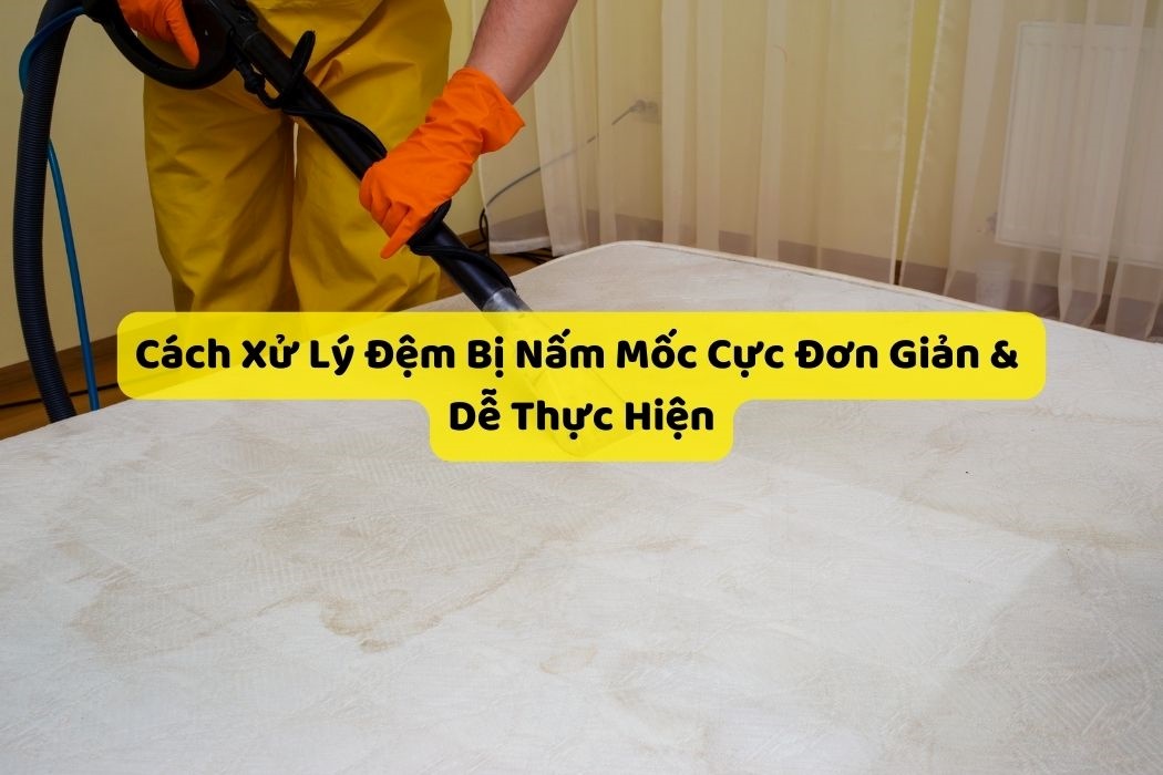 Cách xử lý nệm bị nấm mốc