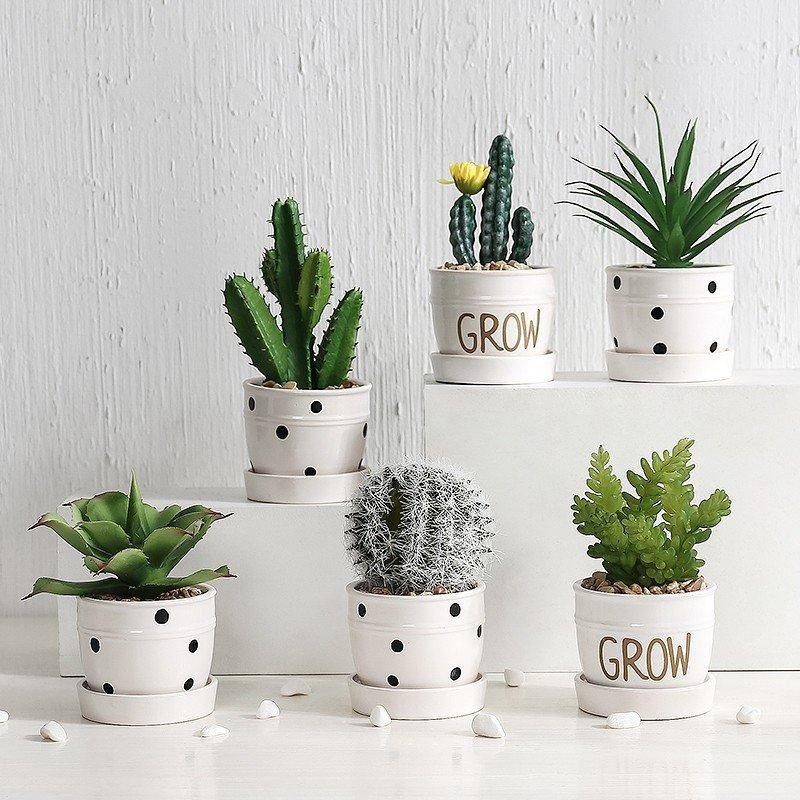 Cây cảnh mini để bàn làm quà tặng nữ doanh nhân mới khởi nghiệp Cây cảnh mini để bàn làm quà tặng nữ doanh nhân mới khởi nghiệp