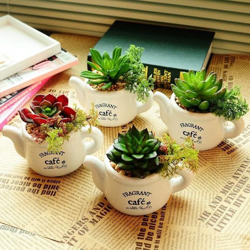 Chậu cây mini làm quà tặng thầy cô cuối năm dưới 200k