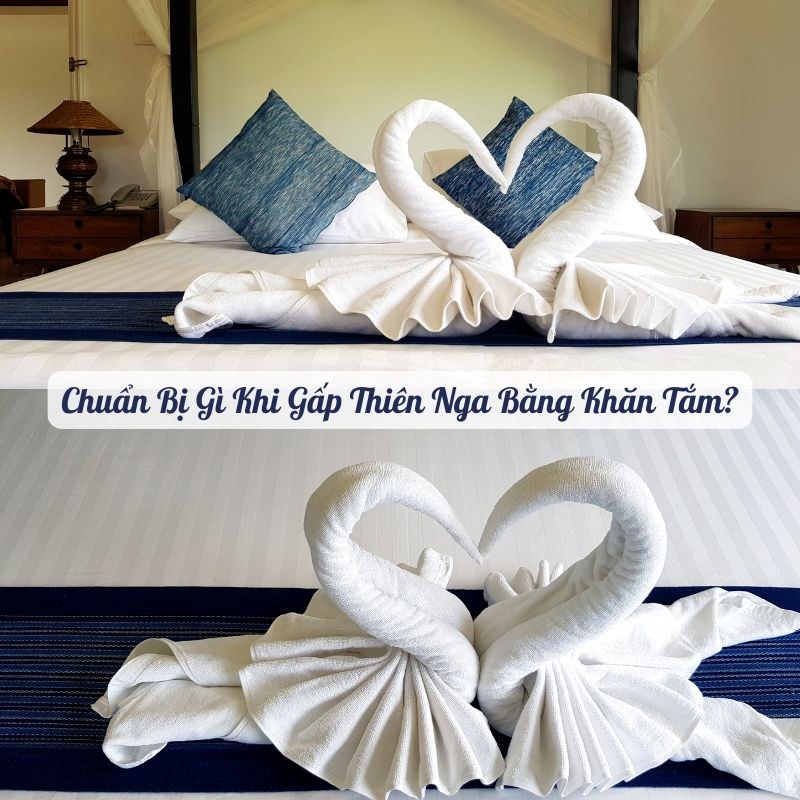 Chuẩn bị gì khi gấp thiên nga bằng khăn tắm Chuẩn bị gì khi gấp thiên nga bằng khăn tắm