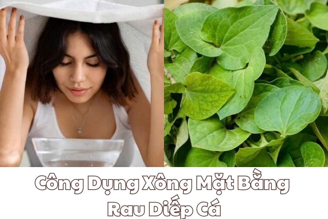 Công dụng của xông mặt bằng rau diếp cá