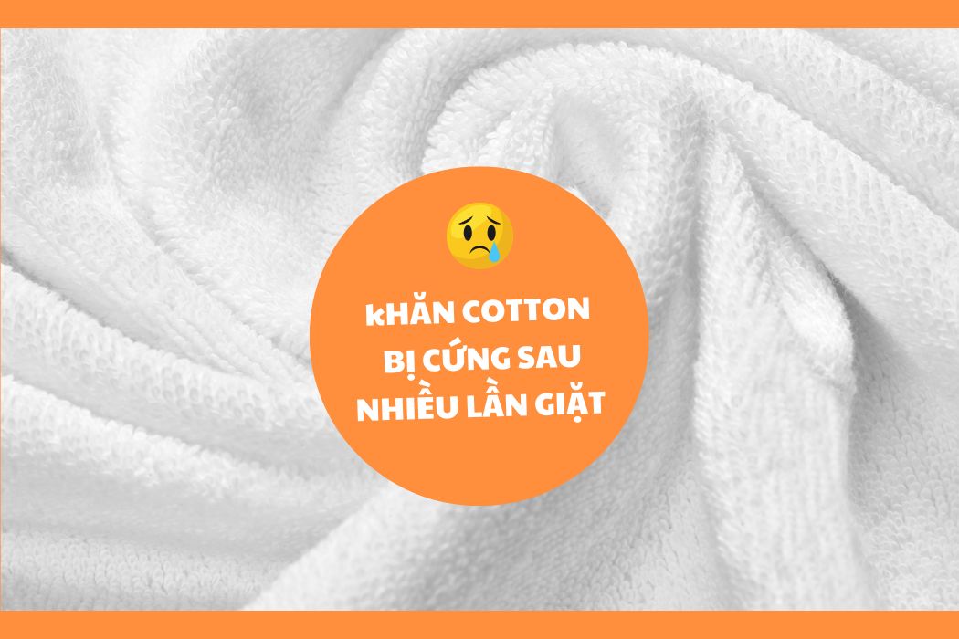 Khăn cotton bị cứng sau nhiều lần giặt