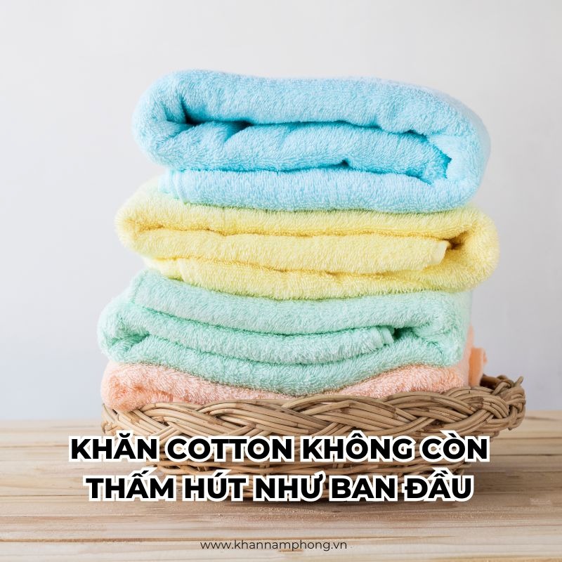 Khăn cotton không còn thấm hút như ban đầu