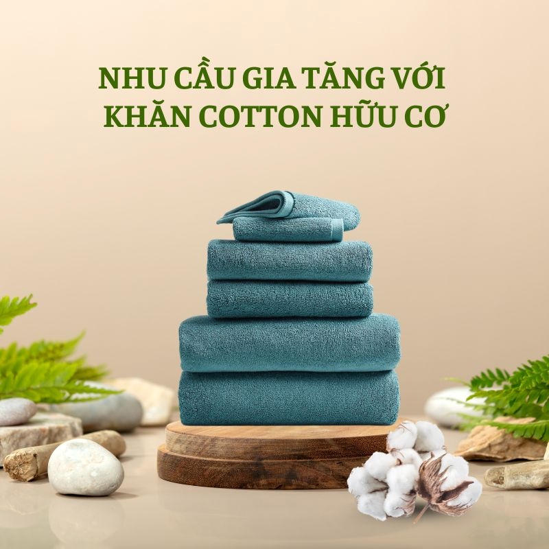 Nhu cầu sử dụng khăn cotton hữu cơ tăng cao