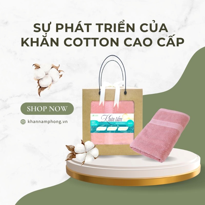 Sự phát triển của khăn cotton cao cấp