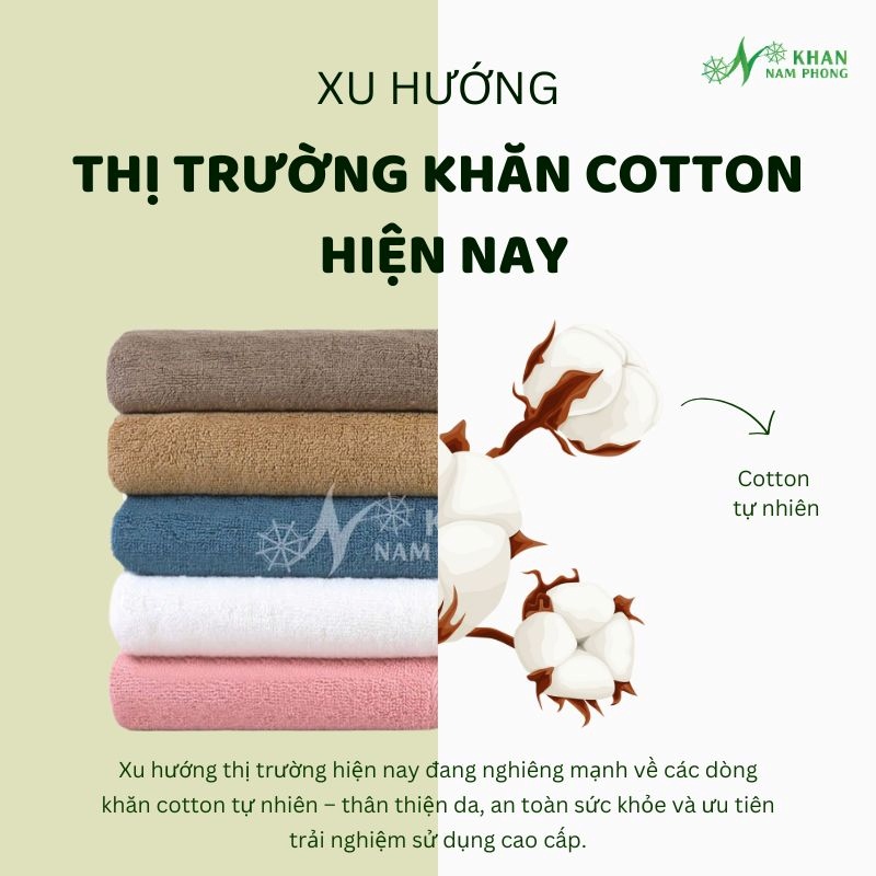 Xu hướng thị trường khăn cotton hiện nay