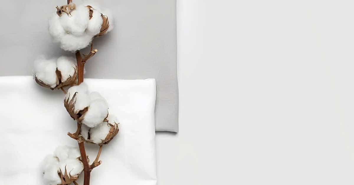 Vải cotton organic là gì?