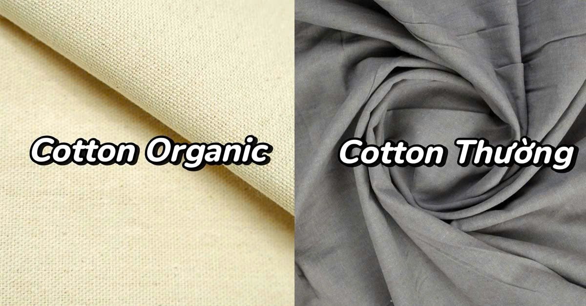 Sự khác biệt của vải cotton organic và vải cotton thông thường