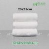 [HÀNG B] Khăn Lau Tay Màu Trắng Cotton 25*25cm Màu Trắng