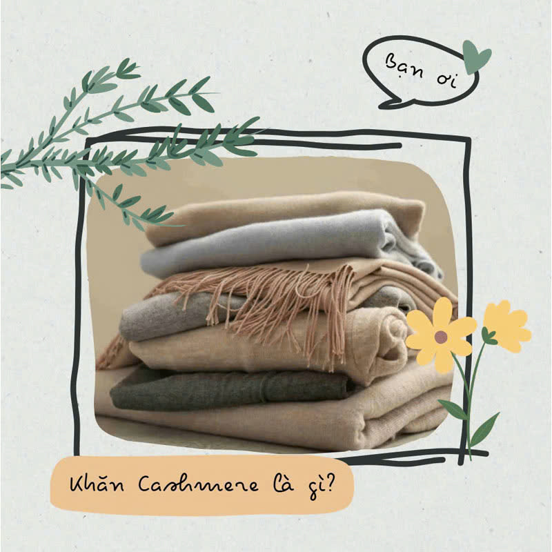 Ảnh đại diện về Khăn Cashmere