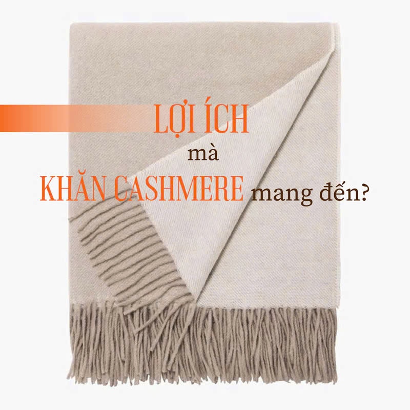 Lợi ích mà khăn cashmere mang đến