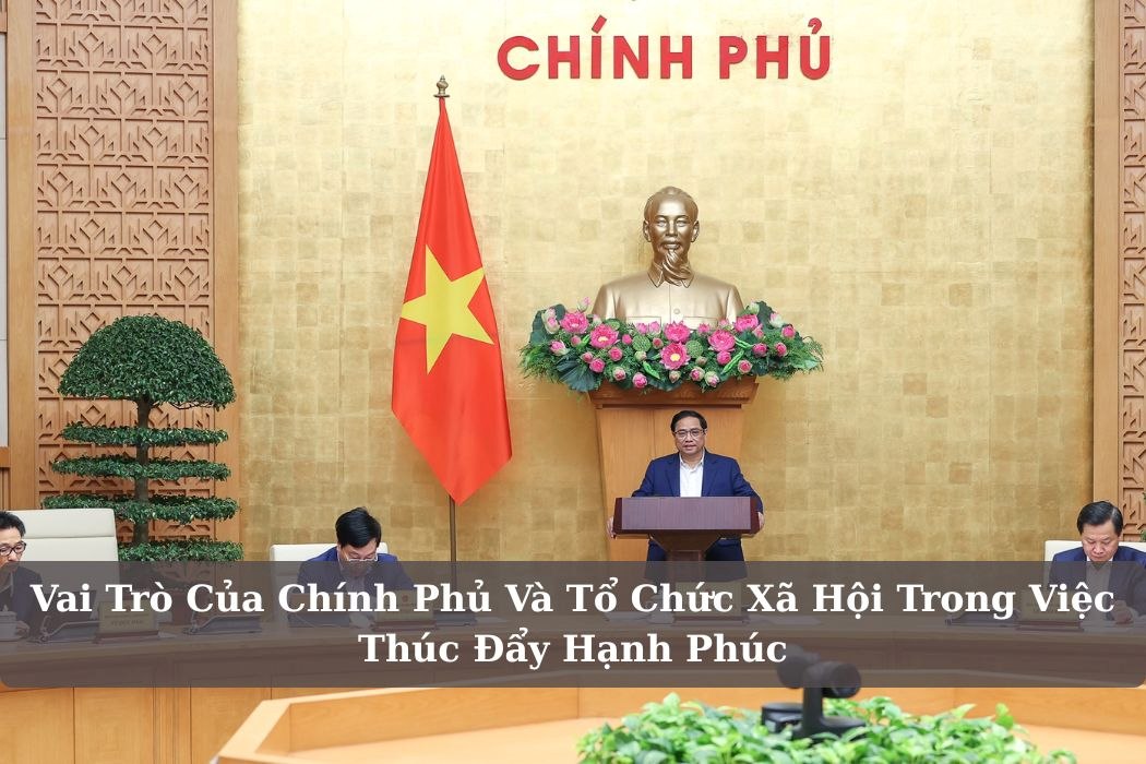 Vai trò của chính phủ và tổ chức xã hội trong việc thúc đẩy hạnh phúc