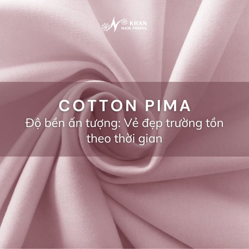 Cotton pima- độ bền ấn tượng, cùng vẻ đẹp trường tồn theo thời gian