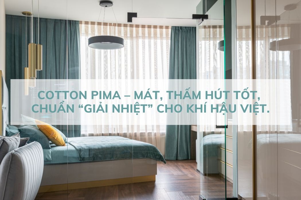 Cotton pima- thoáng mát, chuẩn giải nhiệt cho khí hậu Việt