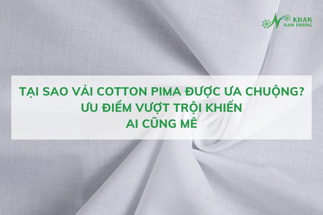 Tại sao vải cotton pima được ưa chuộng- ưu điểm vượt trội khiến ai cũng mê