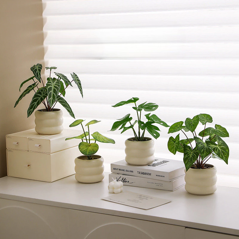 Cây xanh để bàn làm việc