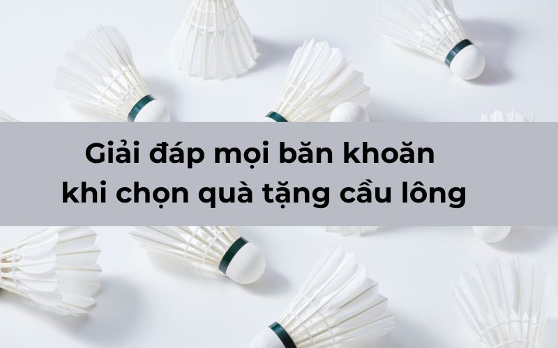 Gợi Ý 10+ Quà Tặng Cầu Lông Ý Nghĩa Cho Người Thích Chơi Thể Thao Giải đáp mọi băn khoăn khi chọn quà tặng cầu lông