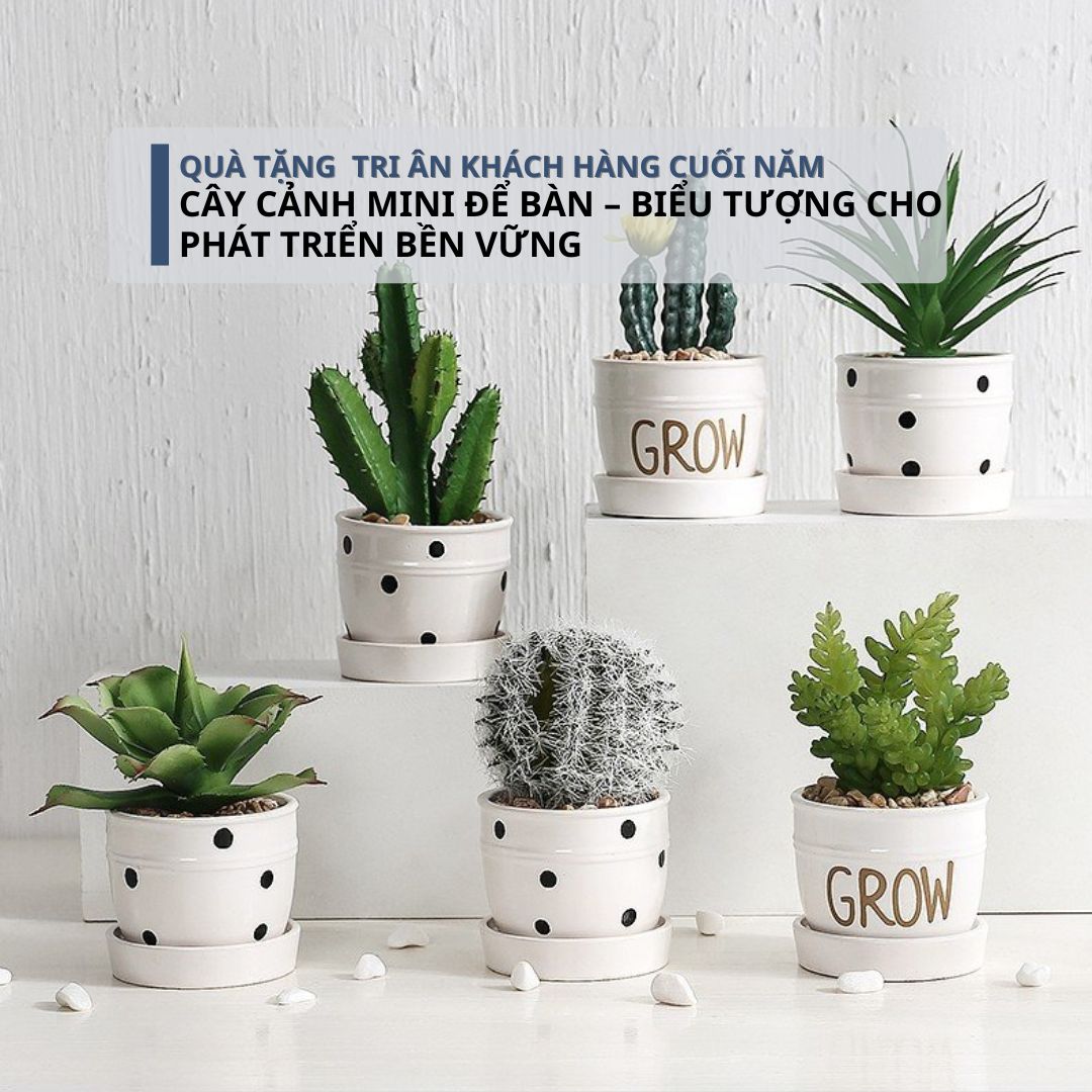 Quà tặng khách hàng cuối năm - Cây xanh