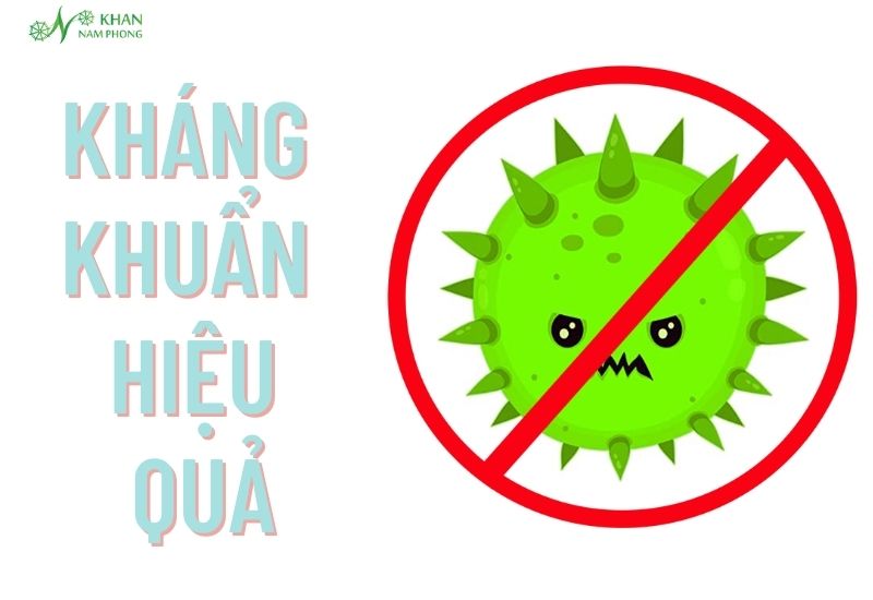 Khăn Lông Cừu Là Gì? Đặc Điểm, Nguồn Gốc, Giá Thành Tính kháng khuẩn hiệu quả của khăn lông cừu
