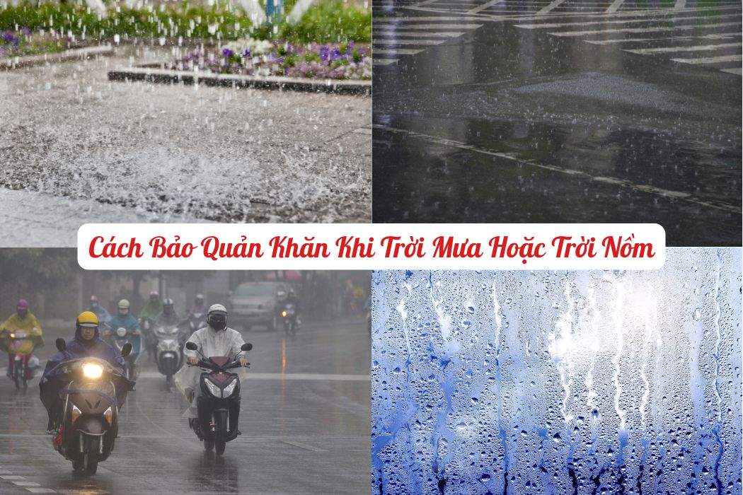 Cách Bảo Quản Khăn Khi Trời Mưa Hoặc Trời Nồm Cách bảo quản khăn khi trời mưa hoặc trời nồm