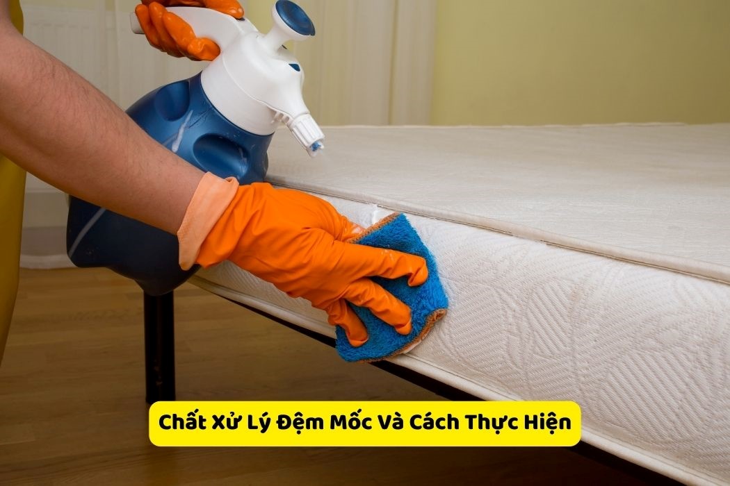 Chất Xử Lý Nệm Mốc Và Cách Thực Hiện Chất xử lý nệm mốc và cách thực hiện