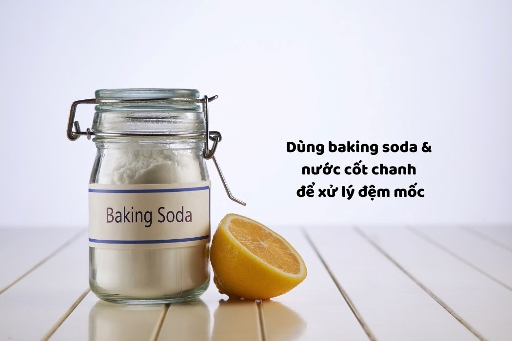 Chọn Chất Tẩy Rửa Để Xử Lý Nệm Mốc Chọn chất tẩy rửa để xử lý nệm mốc