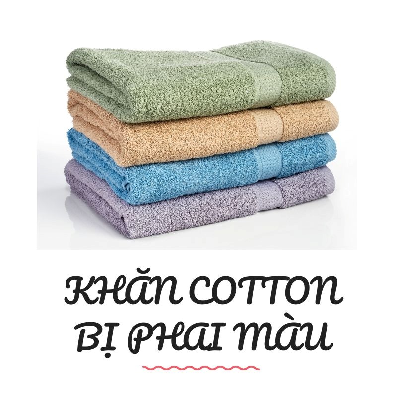 Khăn Cotton Bị Phai Màu Khăn cotton bị phai màu