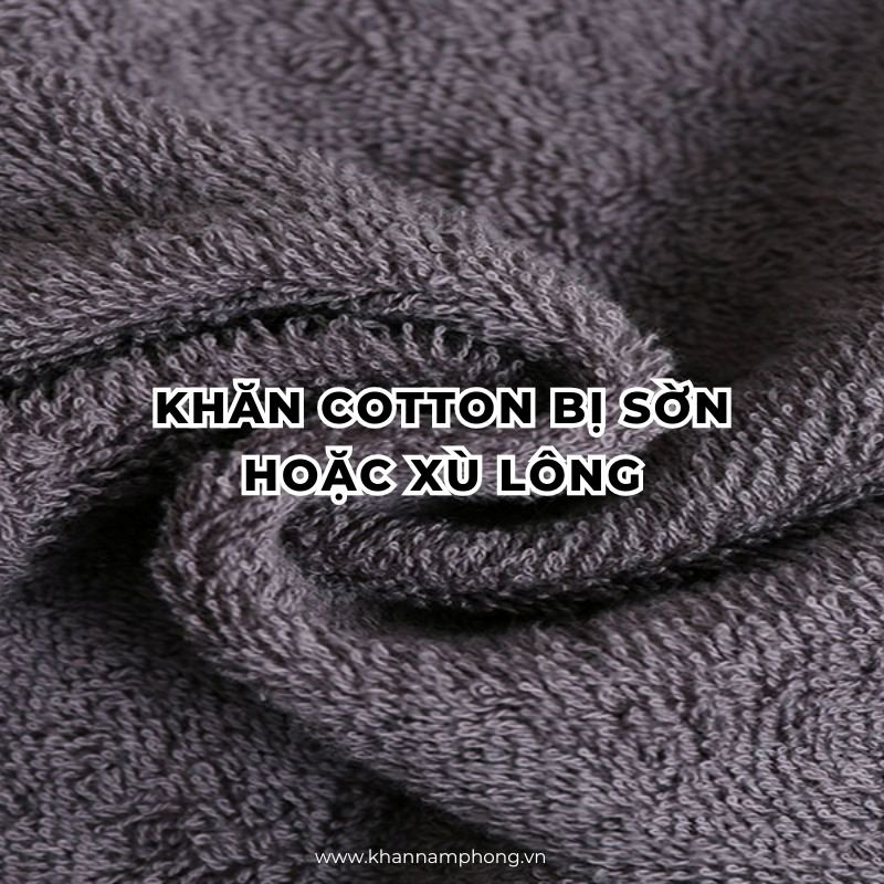 Khăn Cotton Bị Sờn Hoặc Xù Lông Khăn cotton bị sờn hoặc xù lông