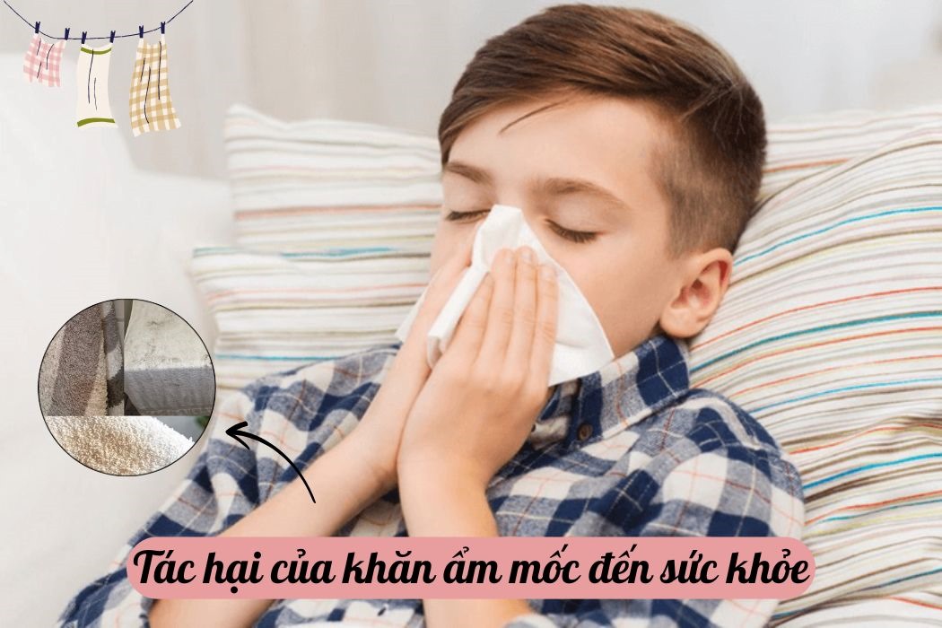 Tác Hại Của Khăn Ẩm Mốc Đến Sức Khỏe Tác hại của khăn ẩm mốc đến sức khỏe