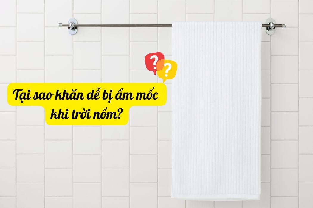 Tại Sao Khăn Dễ Bị Ẩm Mốc Khi Trời Nồm? Tại sao khăn dễ bị ẩm mốc khi trời nồm?