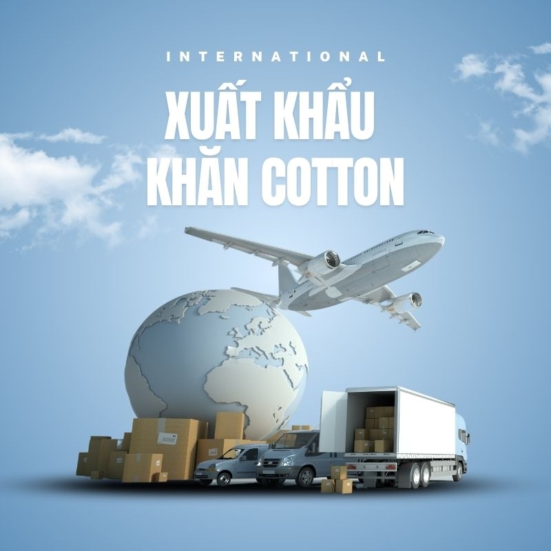 Xuất Khẩu Khăn Cotton Xuất khẩu khăn cotton