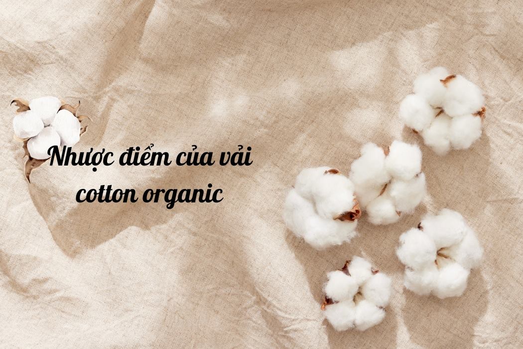 Nhược Điểm Của Vải Cotton Organic Nhược điểm của vải cotton organic