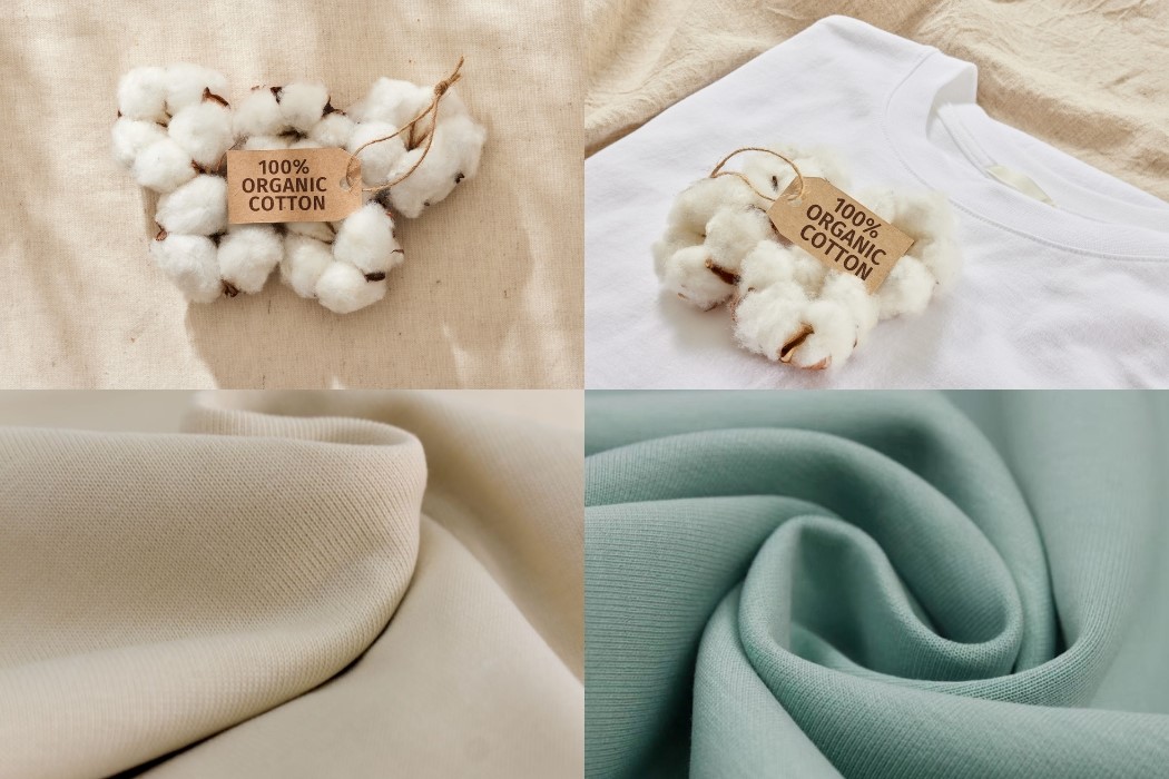 Sự Khác Biệt Giữa Cotton Thường Và Cotton Organic Sự khác biệt giữa cotton thường và cotton organic