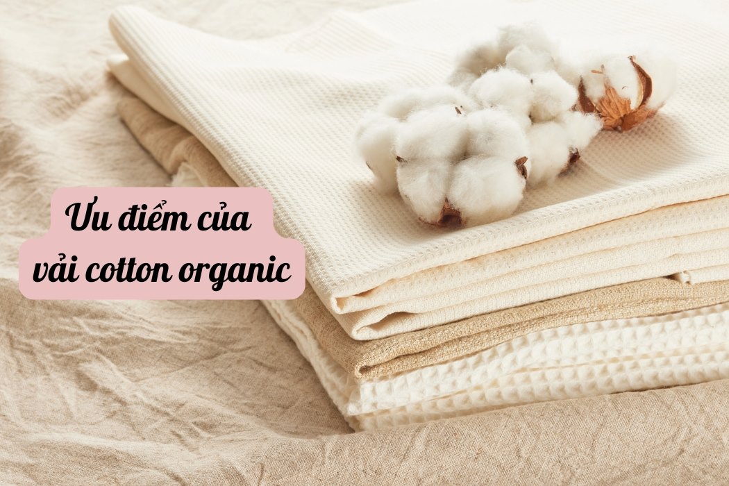 Ưu Điểm Của Vải Cotton Organic Ưu điểm của vải cotton organic