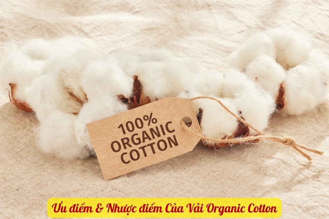 Ưu Và Nhược Điểm Của Vải Cotton Organic Ưu và nhược điểm của vải cotton organic