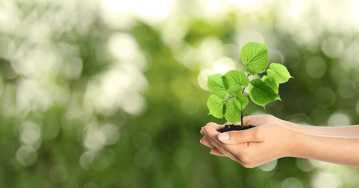 Sợi Tổng Hợp Là Gì? Lợi Ích, Nhược Điểm Và Ứng Dụng Phát triển sợi tổng hợp thân thiện với môi trường