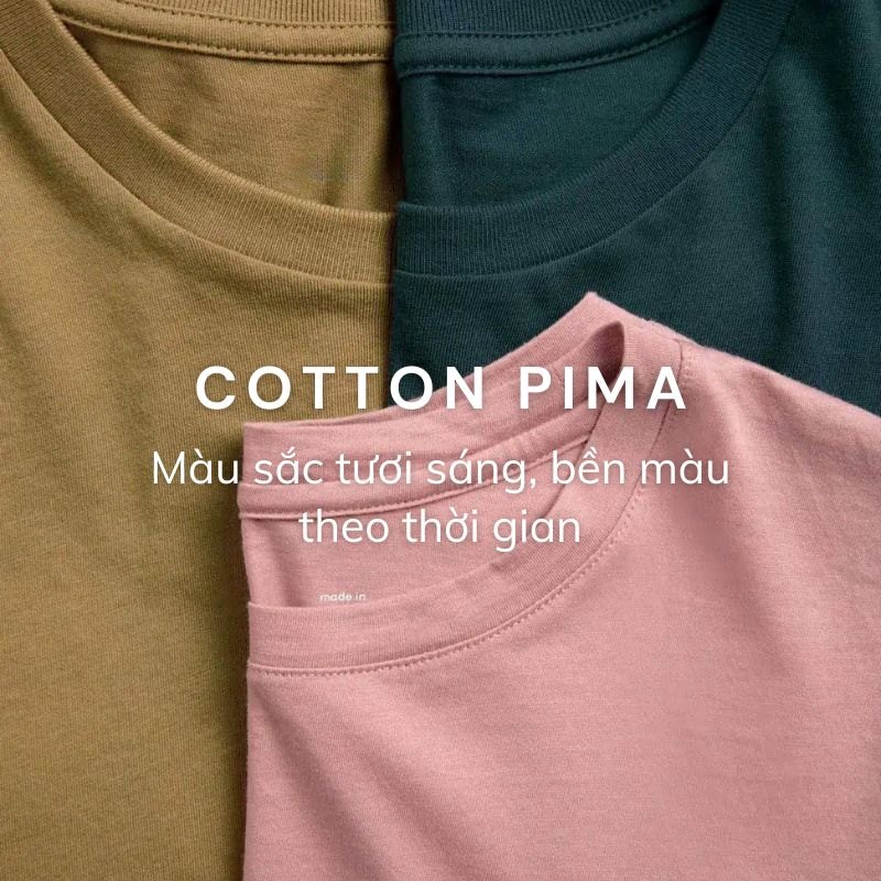 Cotton Pima- Màu Sắc Tươi Sáng, Bền Màu Theo Thời Gian Cotton pima- màu sắc tươi sáng, bền màu theo thời gian