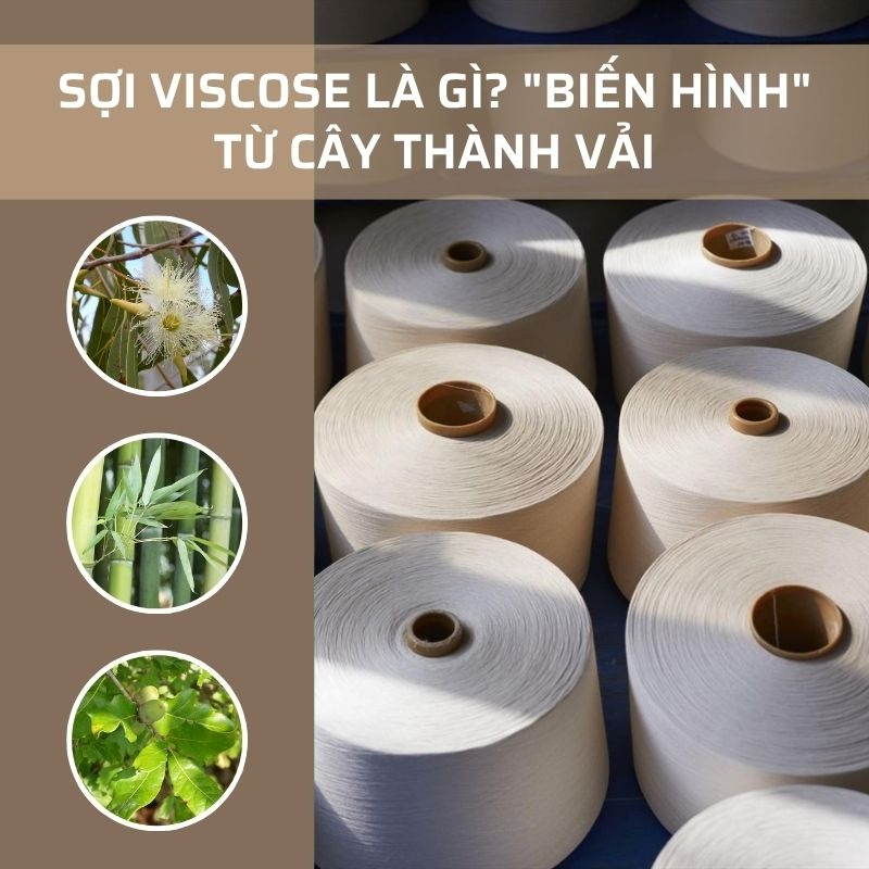 Sợi Viscose Là Gì? Biến Hình Từ Cây Thành Vải Sợi viscose là gì? Biến hình từ cây thành vải
