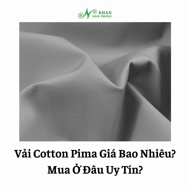 Vải Cotton Pima Giá Bao Nhiêu? Mua Ở Đâu Uy Tín? Vải cotton pima giá bao nhiêu? Mua ở đâu uy tín?